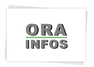 ORA Consultant - Ressources Humaines