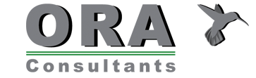 ORA Consultant - Ressources Humaines